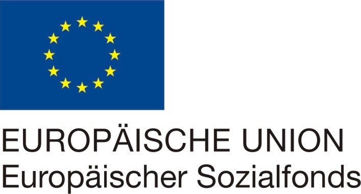 EU Logo
